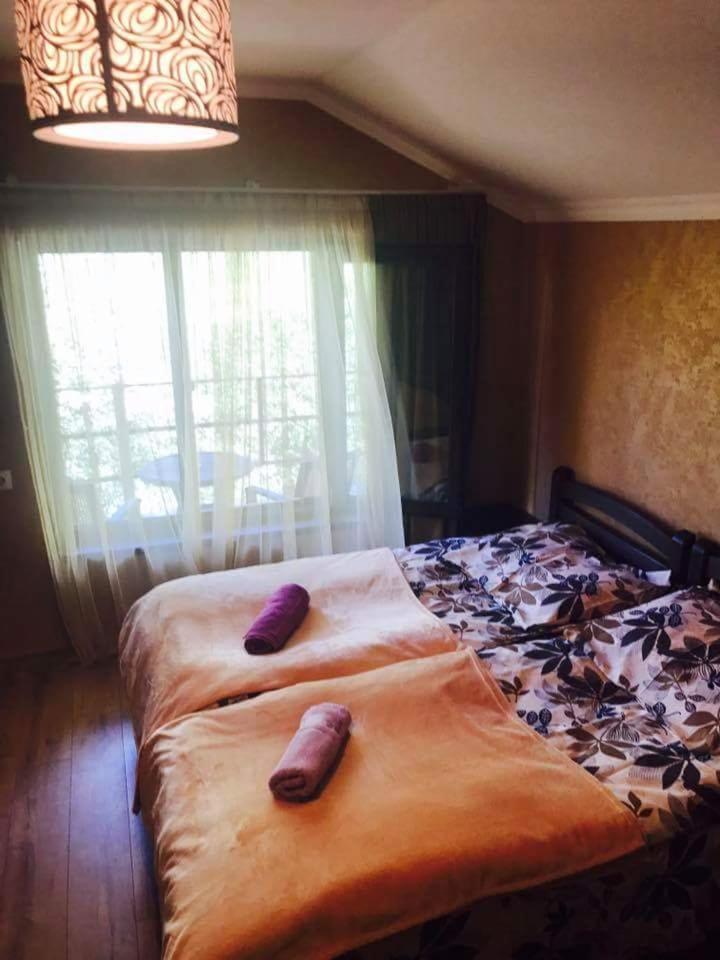 ジュタ Metitsa Bed & Breakfast エクステリア 写真